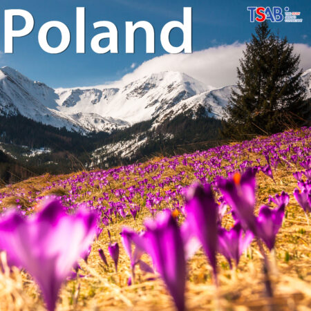 วีซ่าเรียนต่อโปแลนด์