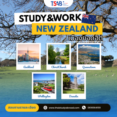 5 เมืองยอดฮิตในนิวซีแลนด์ (Work & Study Edition) 2025